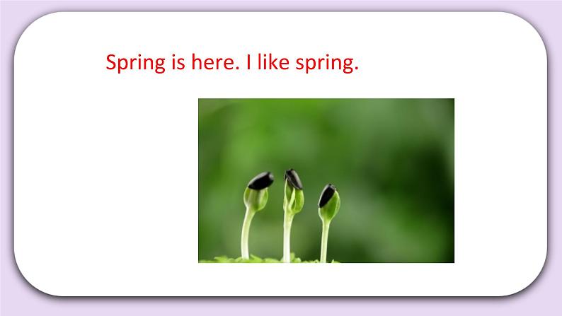 Unit 1 Spring is here Lesson3(2) 课件 北京版英语三下第7页