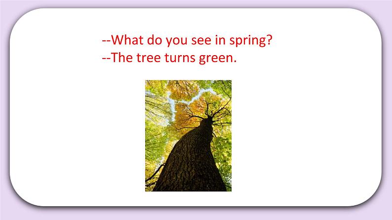 Unit 1 Spring is here Lesson3(1) 课件 北京版英语三下第7页