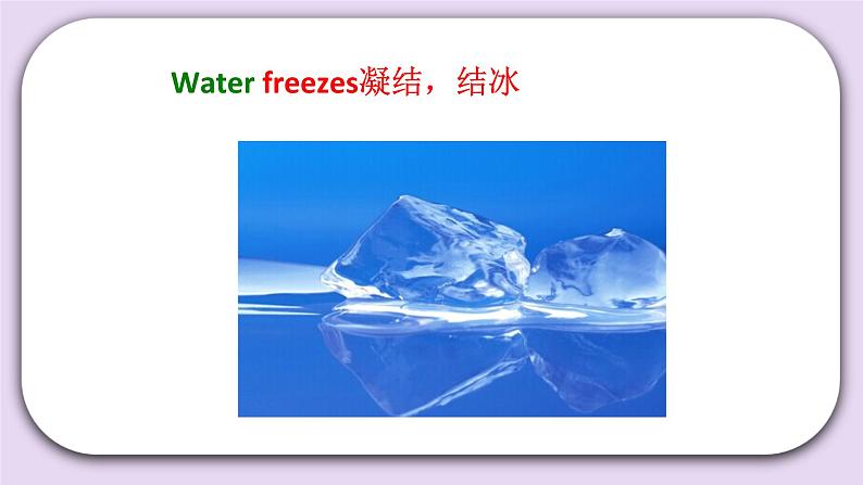 Unit 7 What is nature Lesson25 课件 北京版英语四上第8页