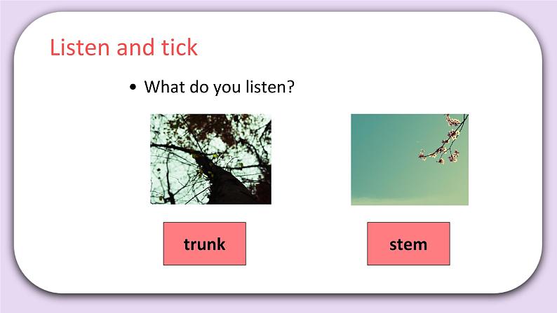 Unit 2 What do flowers do Lesson8 课件 北京版英语五下第3页