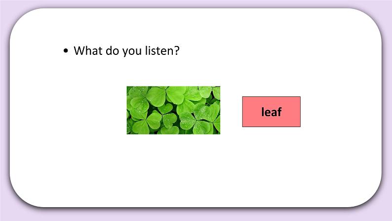 Unit 2 What do flowers do Lesson8 课件 北京版英语五下第5页