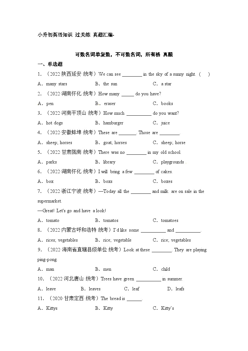 小升初英语通用版知识过关练+真题汇编：可数名词单复数，不可数名词，所有格01