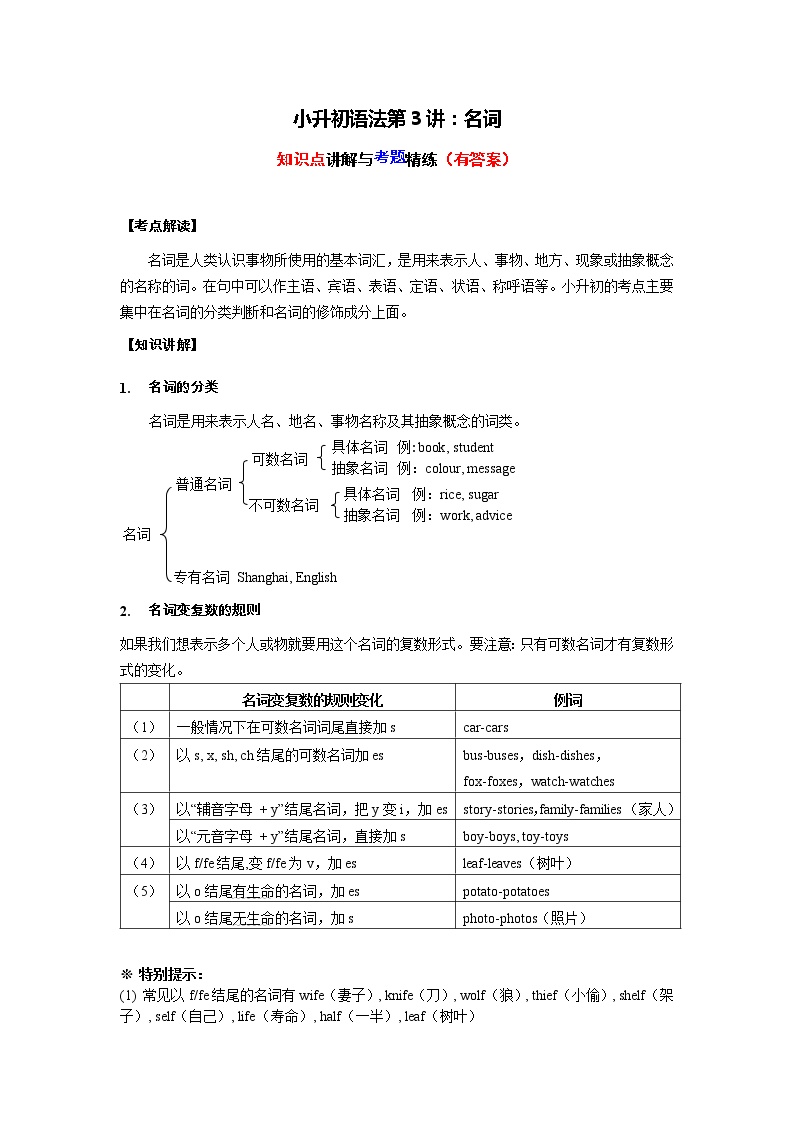 小升初英语语法专项精讲+精练——第3讲：名词的数