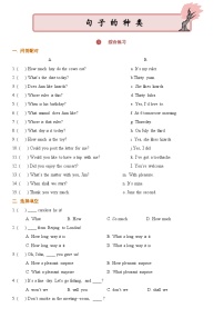 小升初英语通用版基础语法专项训练学案：句子的种类-03综合练习（含答案）