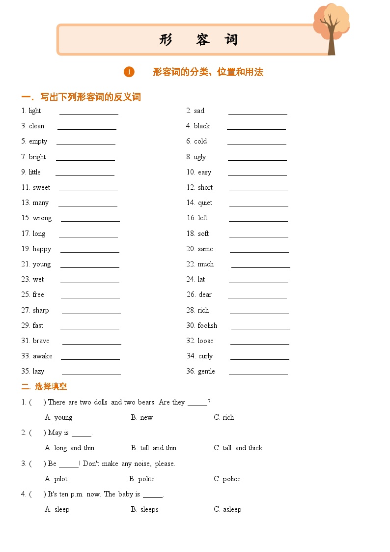 小升初英语通用版基础语法专项训练学案：形容词-01形容词的分类、位置和用法（含答案）