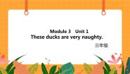 小学英语外研版 (一年级起点)三年级上册Unit 1 These ducks are very naughty.完美版课件ppt