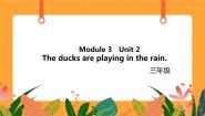 外研版 (一年级起点)三年级上册Unit 2 The ducks are playing in the rain.优秀ppt课件