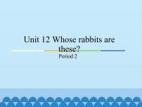 小学英语教科版 (广州)三年级下册Module 6 PetsUnit 12 Whose rabbits are these?示范课ppt课件