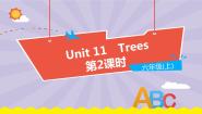 小学英语新版-牛津上海版六年级上册Unit 11 Trees优秀ppt课件