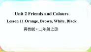 冀教版 (三年级起点)三年级上册Unit 2  Friends and ColoursLesson 11 Orange Brown White Black集体备课ppt课件