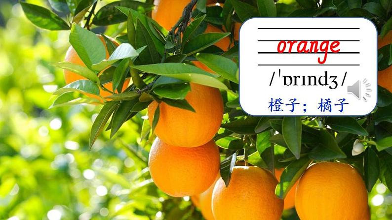 Unit 3 Good Morning! Part B (课件+素材)陕旅版(三起)英语三年级上册07