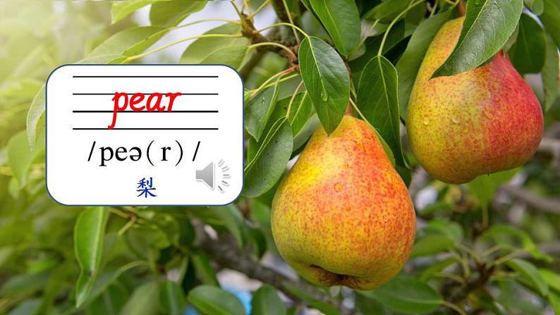 Unit 3 Good Morning! Part B (课件+素材)陕旅版(三起)英语三年级上册08