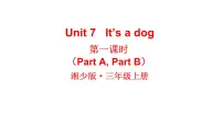 小学湘少版Unit 7 it's a dog课文ppt课件