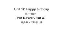 小学英语湘少版三年级上册Unit 12 Happy birthday多媒体教学课件ppt