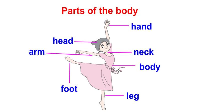 Assessment IV（课件+素材）湘少版（三起）英语三年级上册03