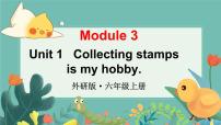 英语外研版 (三年级起点)Unit 1 Collecting stamps is my hobby.授课课件ppt