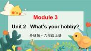 外研版 (三年级起点)Module 3Unit 2 What’s your hobby?图文课件ppt