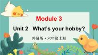 外研版 (三年级起点)Module 3Unit 2 What’s your hobby?图文课件ppt