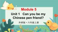 小学英语外研版 (三年级起点)六年级上册Unit 1 Can you be my Chinese pen friend?图片ppt课件