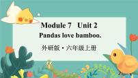小学英语外研版 (三年级起点)六年级上册Unit 2 Pandas love bamboo.课堂教学ppt课件
