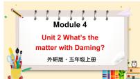 外研版 (三年级起点)五年级上册Module 4Unit 2 What’s the matter with Daming?背景图ppt课件