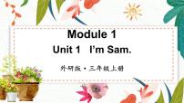 小学英语外研版 (三年级起点)三年级上册Module 1Unit 1 I'm Sam.教学演示ppt课件