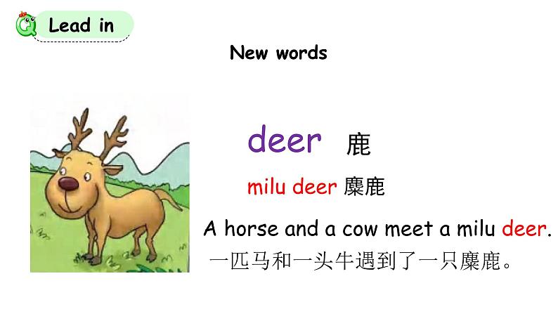 科普版英语四下Lesson8 第三课时(课件+素材)03