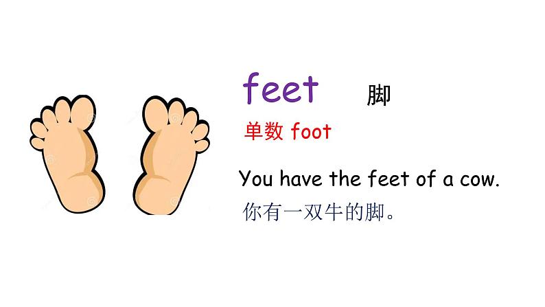 科普版英语四下Lesson8 第三课时(课件+素材)04