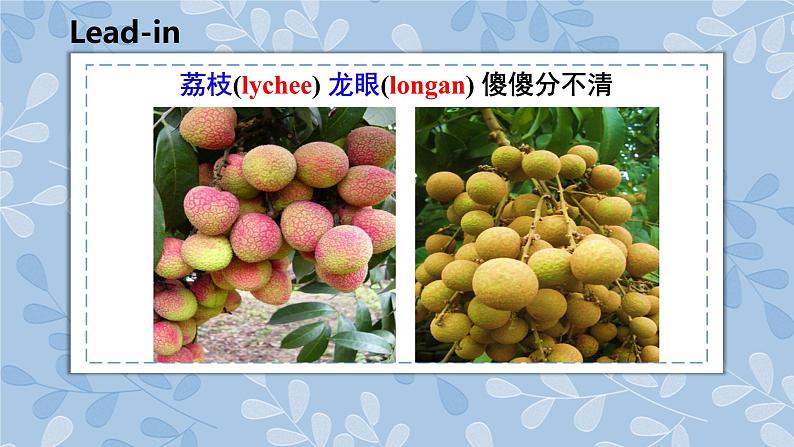 人教精通版五年级上册第35-36课 课件+教案+同步练习02