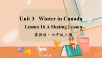 冀教版 (三年级起点)六年级上册Unit 3  Winter in canadaLesson 16 A Skating Lesson示范课课件ppt