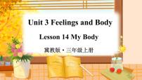 冀教版 (三年级起点)三年级上册Unit 3 Body and FeelingsLesson 14 My Body课文ppt课件