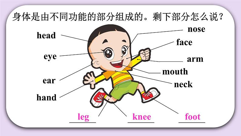精通英语三年级上册 Unit 3 Lesson 17 PPT课件+素材05