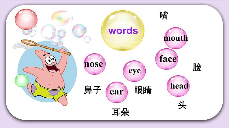 精通英语三年级上册 Unit 3 Review of Unit 3 PPT课件04