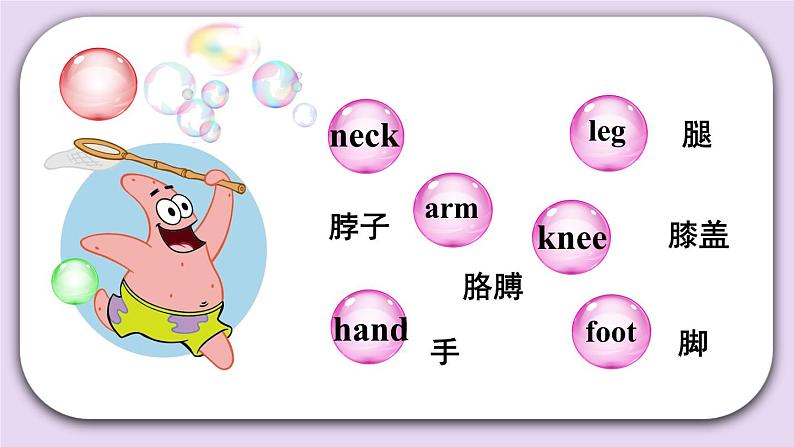 精通英语三年级上册 Unit 3 Review of Unit 3 PPT课件05