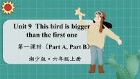 小学英语湘少版六年级上册Unit 9 This bird is bigger than fist one...备课课件ppt