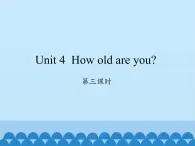 湖南少年儿童出版社小学英语三年级起点三年级上册 Unit 4 How old are you  课件4