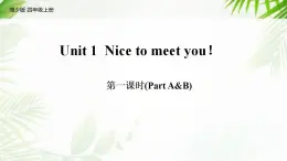 湘少版英语四年级上Unit 1 Nice to meet you!   课件4