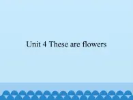 湘少版英语四年级上 册   Unit 4 These are flowers    课件