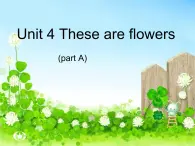 湘少版英语四年级上 册   Unit 4 These are flowers    课件1