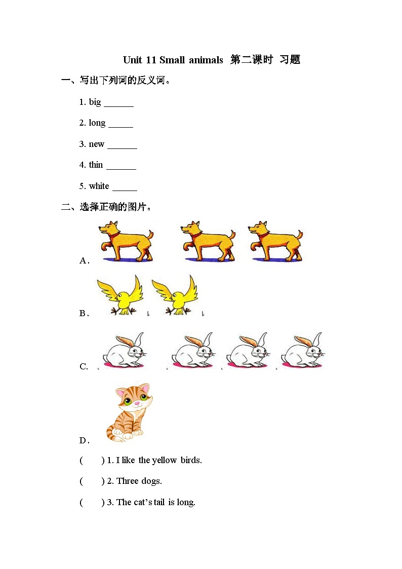 Unit 11 Small animals 第2课时 习题第1页