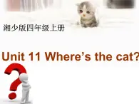 湖南少年儿童出版社小学英语三年级起点四年级上册 Unit 11 Where's the cat   课件10