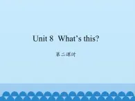 湖南少年儿童出版社小学英语三年级起点三年级上册 Unit 8 What's this   课件5