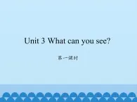 湖南少年儿童出版社小学英语三年级起点四年级下册 Unit 3 What can you see  课件