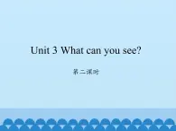 湖南少年儿童出版社小学英语三年级起点四年级下册 Unit 3 What can you see  课件