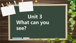 湖南少年儿童出版社小学英语三年级起点四年级下册 Unit 3 What can you see  课件