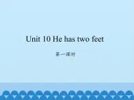 湖南少年儿童出版社小学英语三年级起点四年级下册 Unit 10 He has two feet   课件