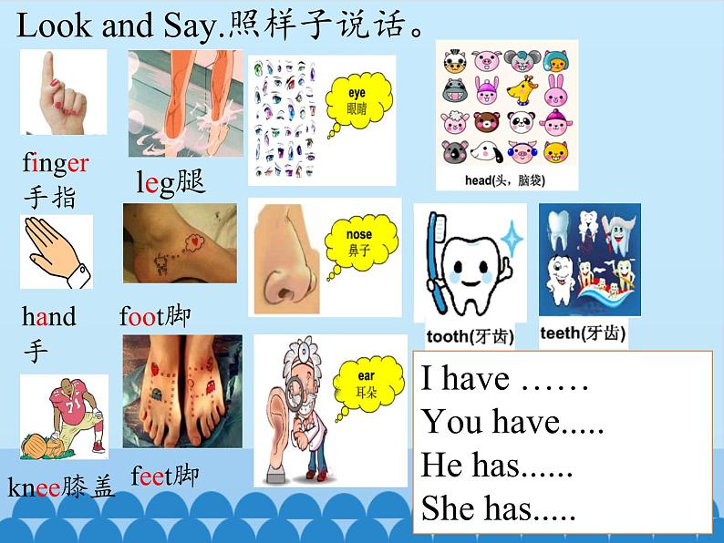 湖南少年儿童出版社小学英语三年级起点四年级下册 Unit 11 Do you have a ticket 课件1第5页