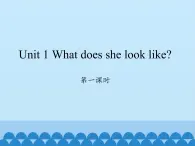 湖南少年儿童出版社小学英语三年级起点五年级上册 Unit 1 What does she look like   课件5