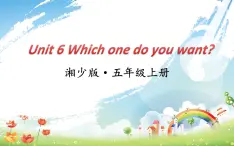 湖南少年儿童出版社小学英语三年级起点五年级上册 Unit 6 Which one do you want   课件4