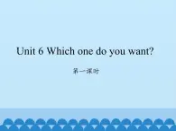 湖南少年儿童出版社小学英语三年级起点五年级上册 Unit 6 Which one do you want   课件5